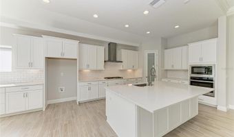 6139 GOLDEN BEACH Dr, Apollo Beach, FL 33572