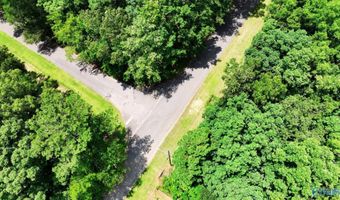 Wilcox Street SE, Attalla, AL 35954