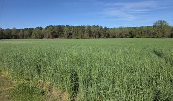 N Nc 111 And 903 Hwy, Albertson, NC 28508