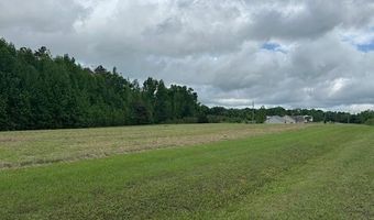 PEAR BLOSSOM Ln, Adamsville, TN 38310