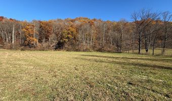 815 White Oak Rd, Artie, WV 25008
