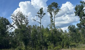 NW 30TH STREET, Bell, FL 32619