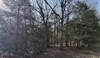 Pecks Drive N, Bergman, AR 72615