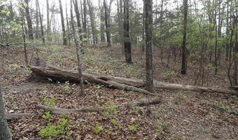 Long Branch Lane, Bee Branch, AR 72013