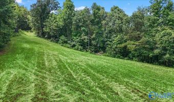 Unit # 0 Murphree Valley Road, Altoona, AL 35952