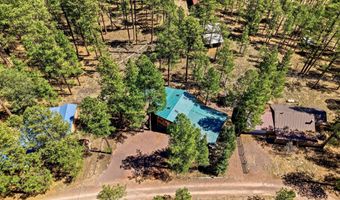 18 County Rd 2120, Alpine, AZ 85920