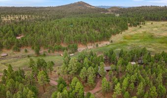 36 County Road N2147, Alpine, AZ 85920