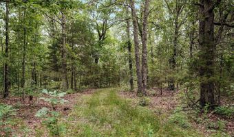 17585 Co Rd #Af-304, Ava, MO 65608