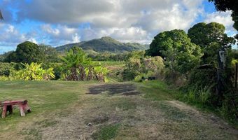 HAUIKI RD 2, Kapaa, HI 96746