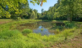 299 SUNRISE Dr, Afton, VA 22920