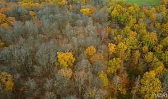 0 County Road 259, Advance, MO 63730