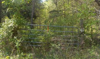 Steve Brown Road, Bean Station, TN 37708