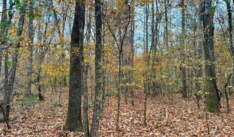 HWY 9, Bruce, MS 38915