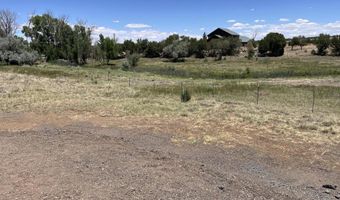 20 Mellon Ln County Road 5099 Ln, Concho, AZ 85924