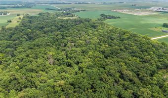 Puckerbrush Road, Adel, IA 50003