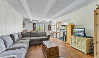 9339 STATE HWY 9 101, Breckenridge, CO 80424