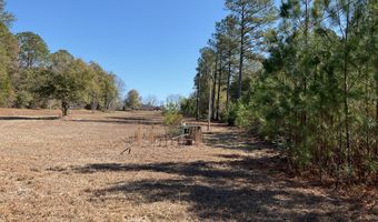 26489 Point A Isle Rd, Andalusia, AL 36421