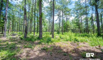 Hurricane Road, Bay Minette, AL 36507