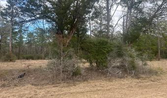 K-57 Hwy 94, Apple Springs, TX 75926