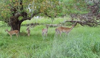 PONY TRAIL, Angleton, TX 77515