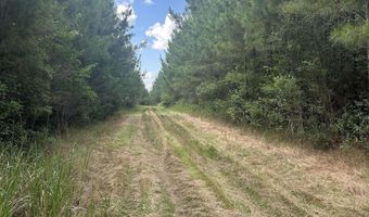 0 Highway 31, Bay Minette, AL 36507
