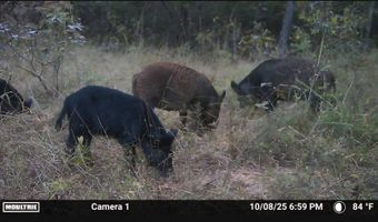 N80 Helt Rd, Antlers, OK 74525