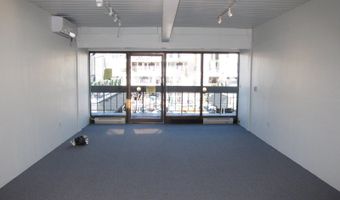 525 E Cooper Ave 205, Aspen, CO 81611