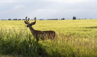 E 1400 N, Ashton, ID 83420