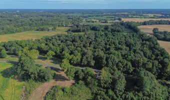 224 County Road 1003, Bardwell, KY 42023