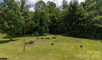 1424 Bear Creek Rd, Bakersville, NC 28705