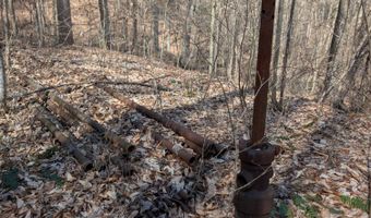 9999 Tip Top Rd, Beattyville, KY 41311