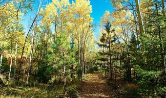 1 The Ranch At Angel Fire, Angel Fire, NM 87710