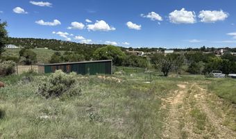 132 E Cedar Road Rd, Capitan, NM 88316