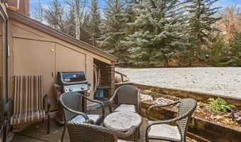 625 S West End St 12, Aspen, CO 81611