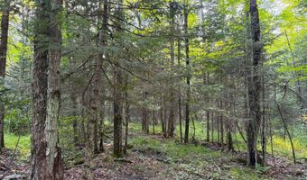 County Road Y, Aniwa, WI 54408