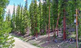 1013 RANGE Rd, Breckenridge, CO 80424