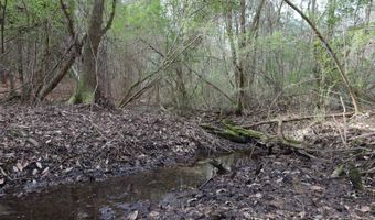 TBD Hwy. 29, Brooklyn, MS 39425