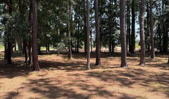47 Manchester Ct, Bluffton, SC 29910