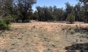 00 Off Of Rainy Rd, Ash Fork, AZ 86320
