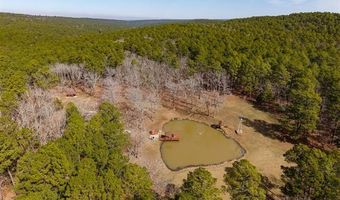 386 NE A, Antlers, OK 74523