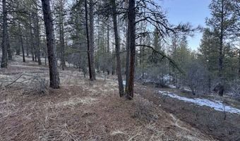 Bobcat Circle, Beatty, OR 97621