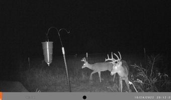 17810 Harreld Rd, Beggs, OK 74421