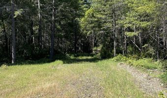 Agness-Illahe Rd, Agness, OR 97406