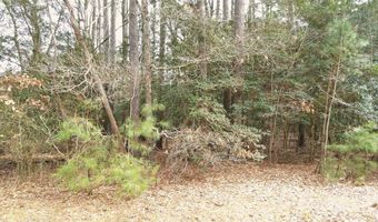 SANDPIPER LANE lot 20, Atlantic, VA 23303