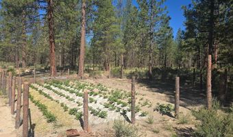 Smith Drive lot 5, Beatty, OR 97621