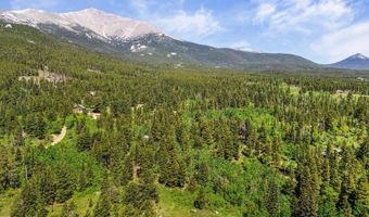 84 County Road 113 S, Allenspark, CO 80510