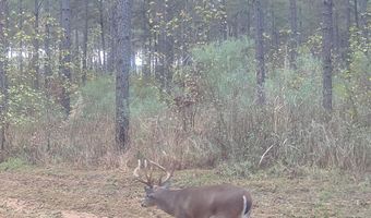 425 Rose Hill Rd, Bentonia, MS 39040