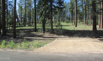 8 County Road 2194, Alpine, AZ 85920