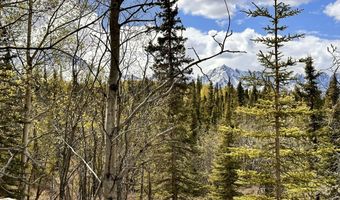 B005 Packsaddle Road, Chickaloon, AK 99674