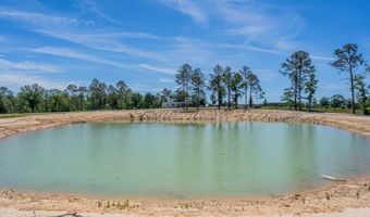 Chad Lake Rd, Alma, GA 31510